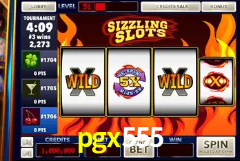 Descubra a Essência do pgx555: Nossa História e Compromissos